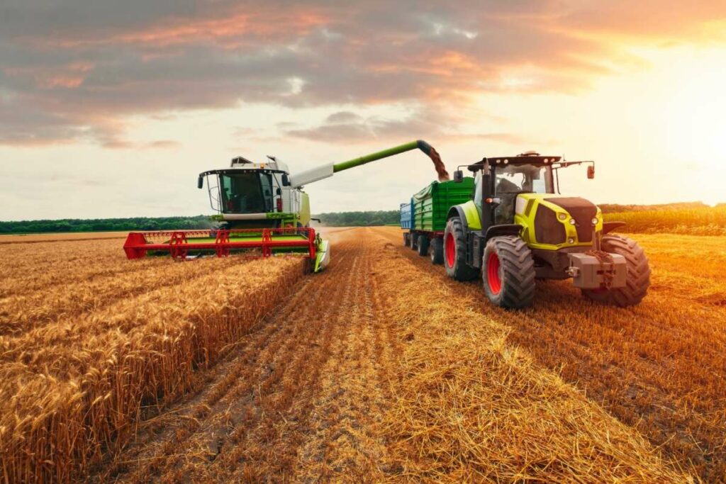 A combine harvester unloading harvested grain into a tractor trailer on a golden wheat field at sunset.